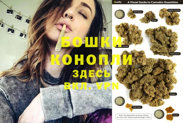 ECSTASY Новозыбков