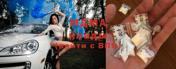 шишки Бородино