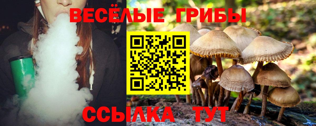 Галлюциногенные грибы MAGIC MUSHROOMS  Братск  Псилоцибиновые грибы прущие грибы 