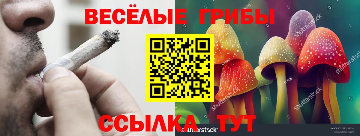 Псилоцибиновые грибы MAGIC MUSHROOMS Братск