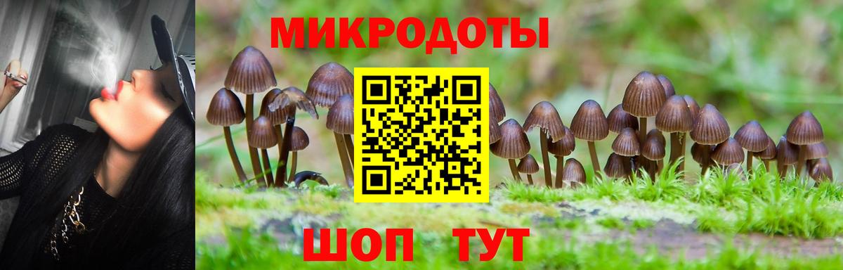 Галлюциногенные грибы Cubensis Братск